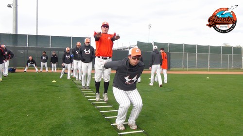 강시는 즐거워2~